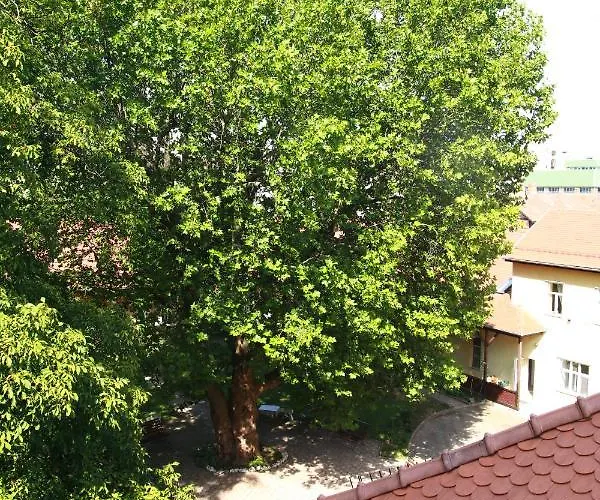 Panoramic View Cosy - Brasov, Transylvania Appartement Braşov